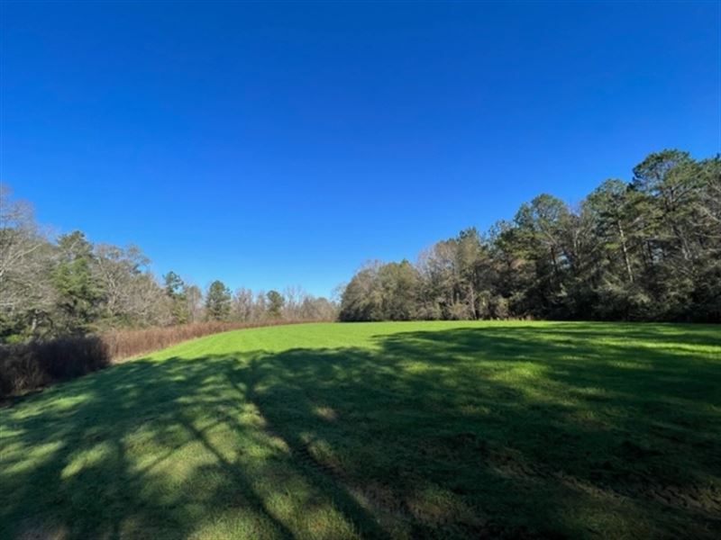 400 Acres Of Prime Hunting and Timb : Silver Creek : Lawrence County : Mississippi