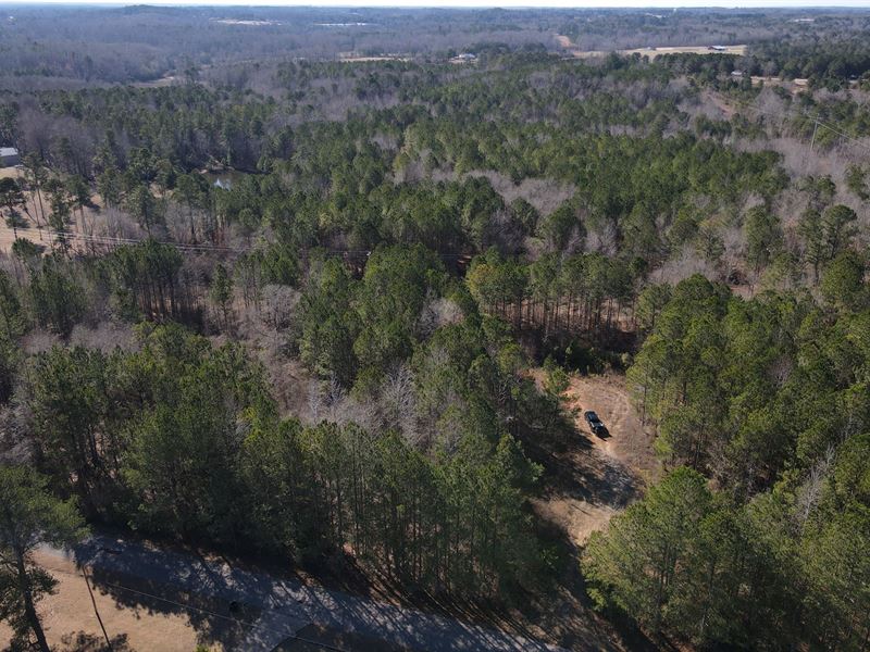 Roanoke Tract 1, 26 : Roanoke : Randolph County : Alabama