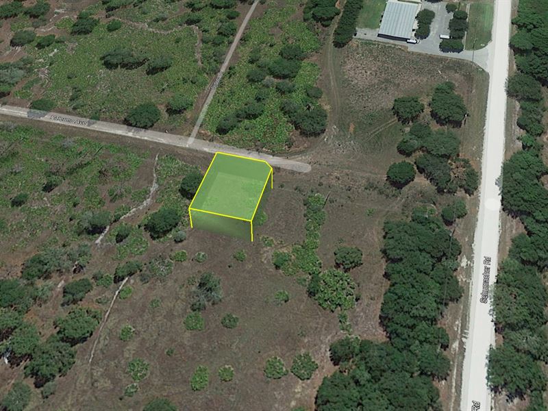 Florida Centerpiece Community Lot : Sebring : Highlands County : Florida