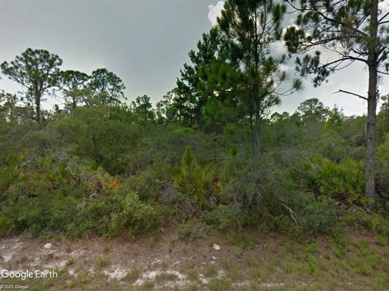 Lakeside Subdivision, Active Area : Lake Placid : Highlands County : Florida