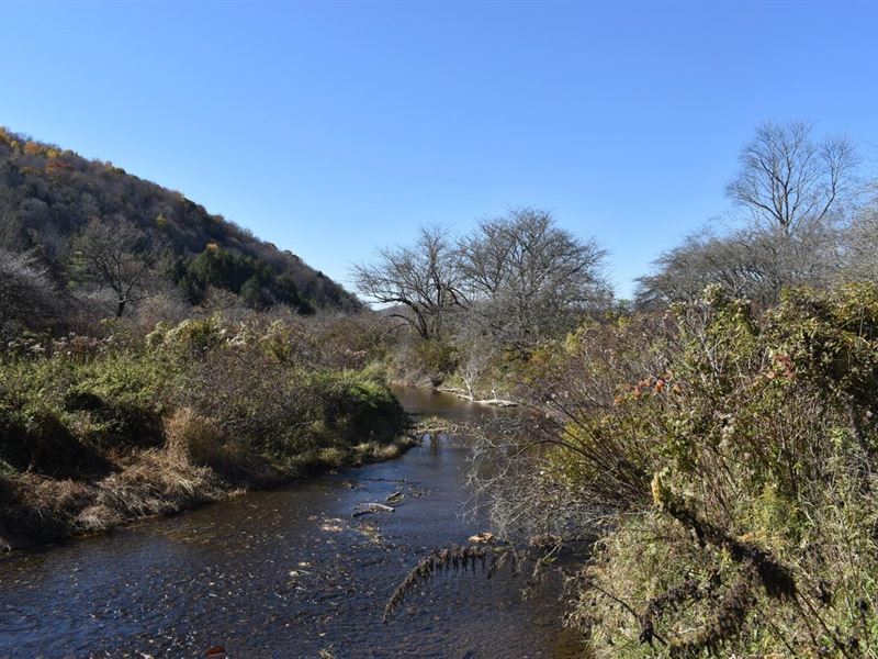 Honeoye Creek : Shinglehouse : Potter County : Pennsylvania