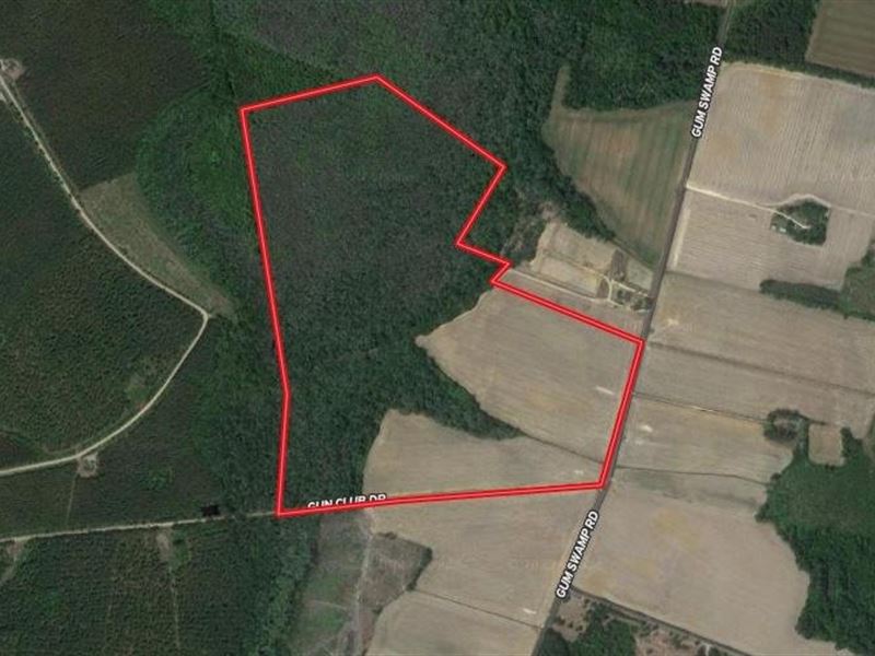 125 Acre Hunting Land and Residenti : Sellers : Dillon County : South Carolina