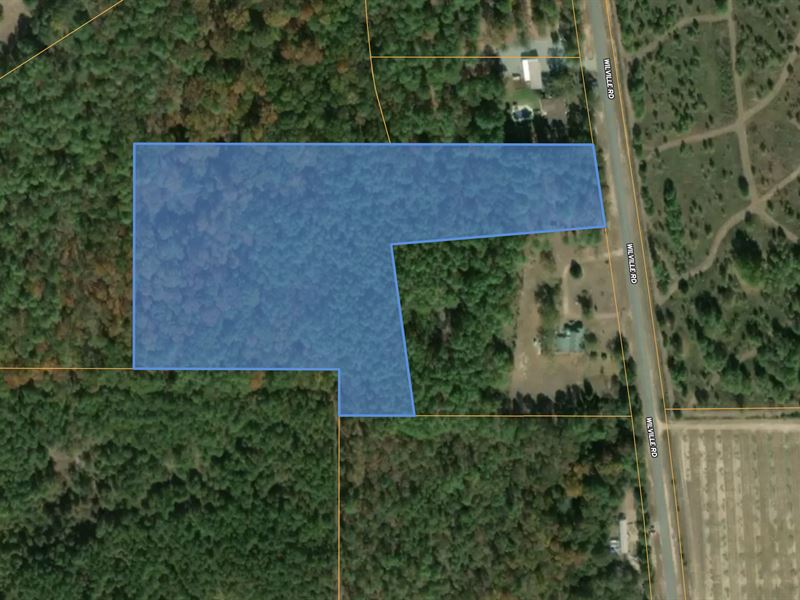 No Subdivision Restrictions Deal : Fort Valley : Peach County : Georgia