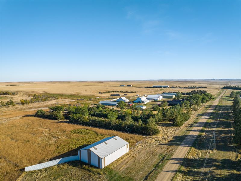McKnight Ranch : Bison : Perkins County : South Dakota