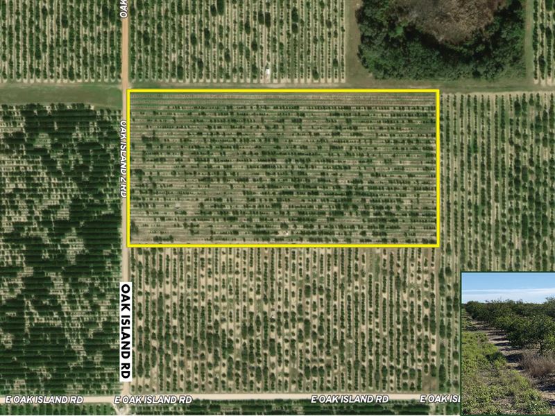 Grove & Rural Residential Homesite : Avon Park : Highlands County : Florida