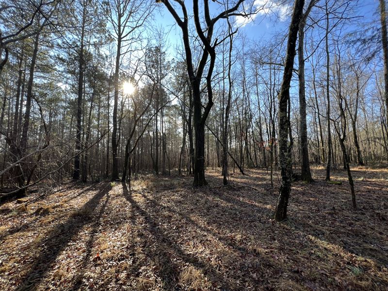 10 Acres in Cusseta, AL : Cusseta : Chambers County : Alabama