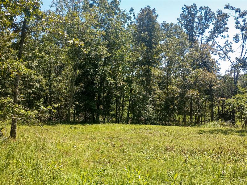 Seasonal Creek & Southern Views : Mammoth Spring : Fulton County : Arkansas