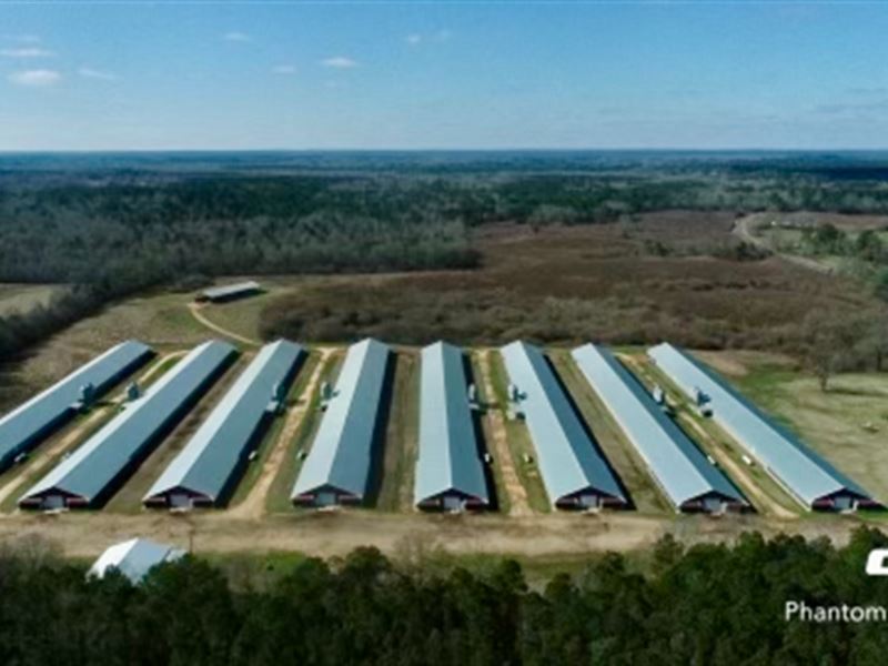 Clean 8 House Poultry Farm 70+/- Ac : Louin : Smith County : Mississippi