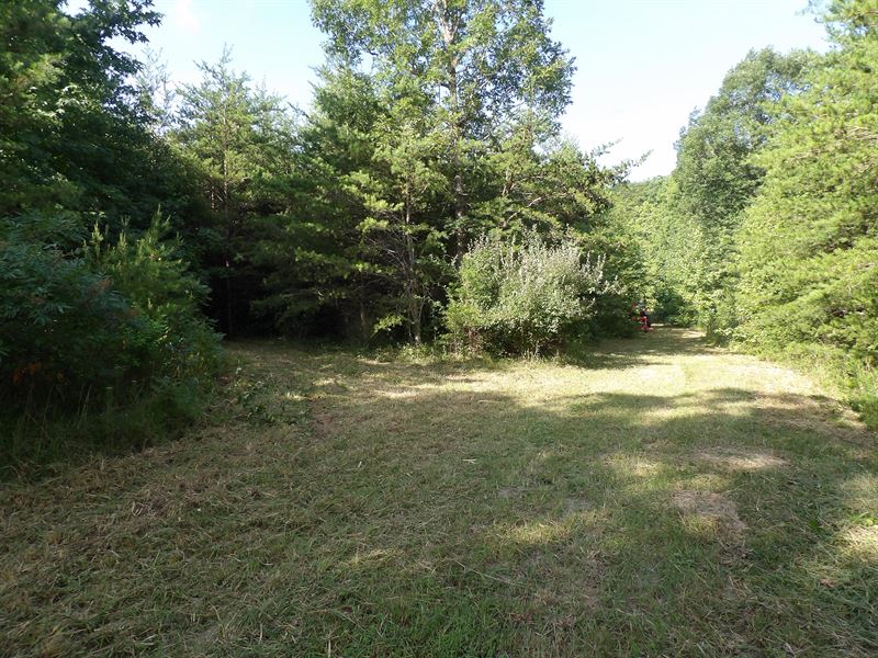 Creek, Electric, no Restrictions : Pikeville : Bledsoe County : Tennessee