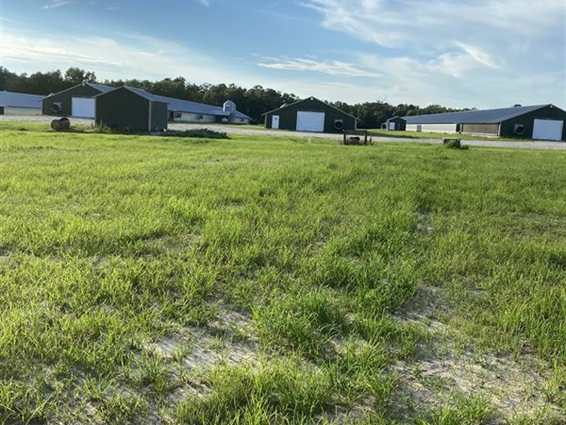 6 Broiler Houses for Sale : Fairmont : Robeson County : North Carolina