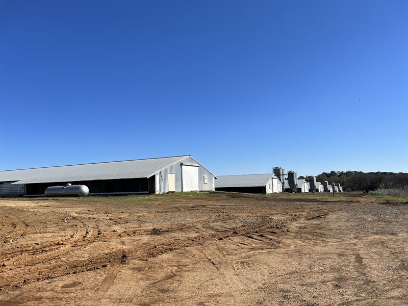 4 Broiler Houses for Sale : Arabi : Crisp County : Georgia