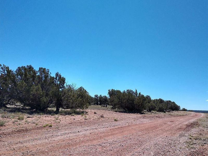 Explore Wild West, 1.13 Acres : Snowflake : Navajo County : Arizona