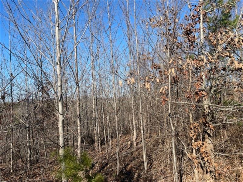 27 Acres, Welcome Chu : Westminster : Oconee County : South Carolina
