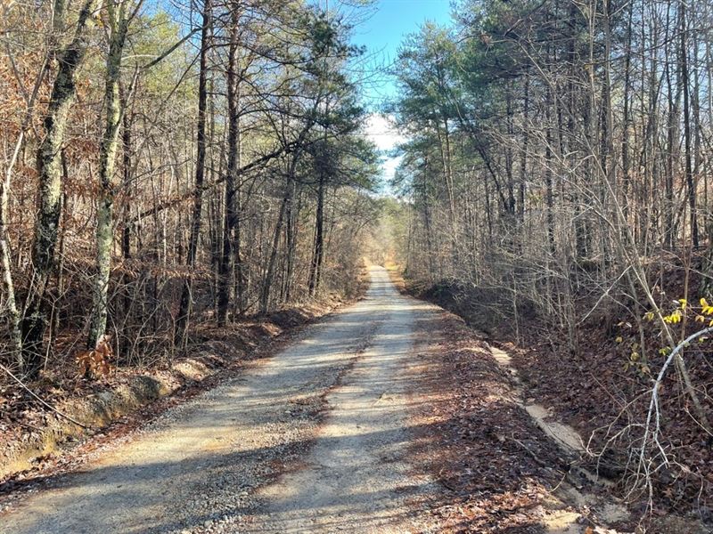 38 Acres, Perry Farm Roa : Westminster : Oconee County : South Carolina