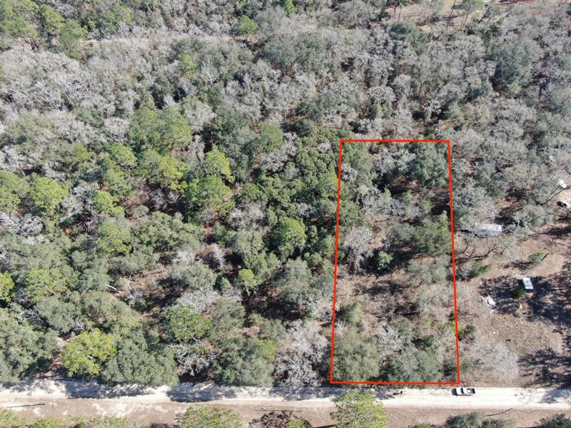 Awesome Camping Lot in Hamilton Cou : Jasper : Hamilton County : Florida