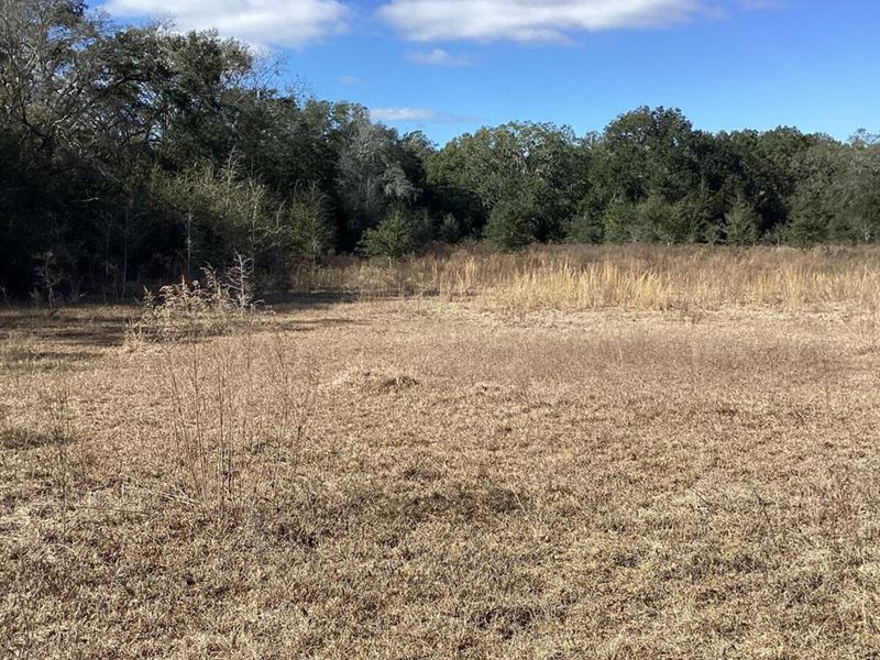 Rutherford Road Homesite : Lee : Madison County : Florida