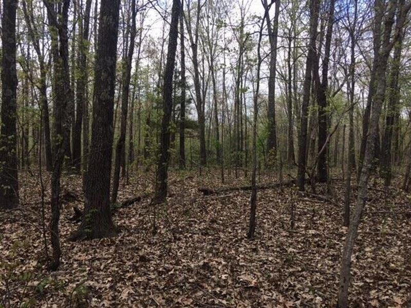 10 Acres, Drilled Well, Electric : Mountain View : Texas County : Missouri
