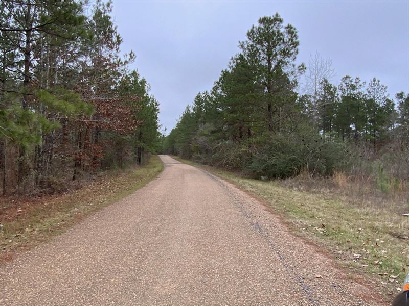 Posey Webb Camp Road, Tract A, Cat : Harrisonburg : Catahoula Parish : Louisiana