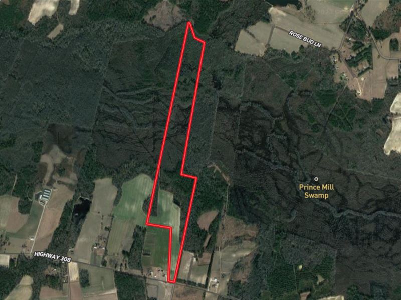102 Acres Hunting / Recreational Pr : Galivants Ferry : Horry County : South Carolina