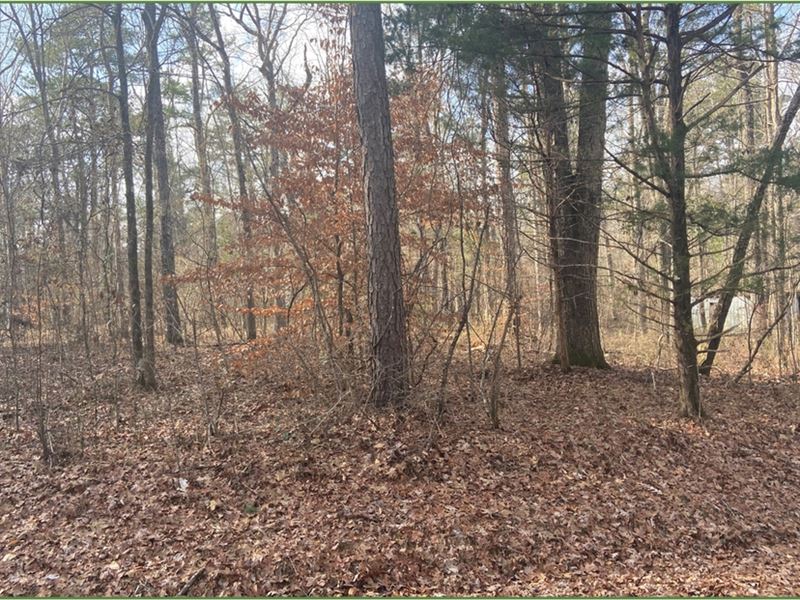 .19 Acre Lot in Rankin County in Br : Brandon : Rankin County : Mississippi