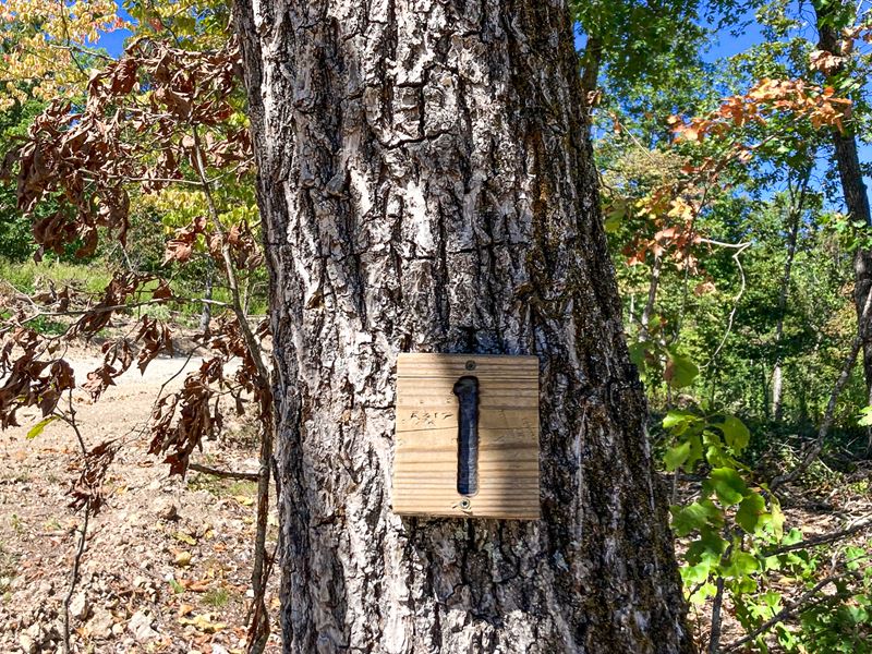 Perched On Top Of The Hill : Thomasville : Oregon County : Missouri