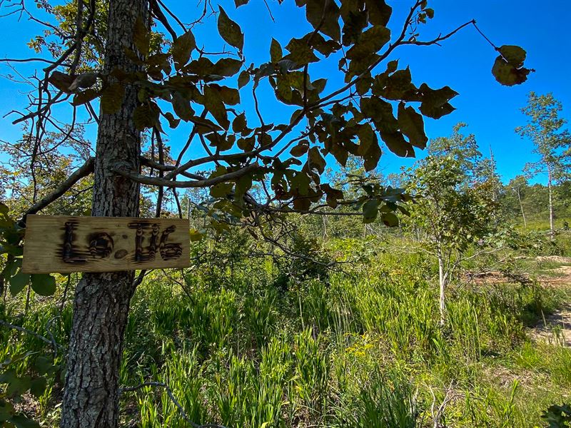 Off-Grid Living Calling Your Name : Thomasville : Oregon County : Missouri