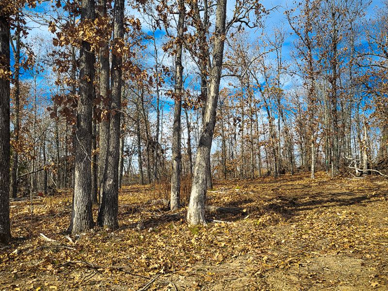Nestled in The Heart Of The Ozarks : Mammoth Spring : Fulton County : Arkansas