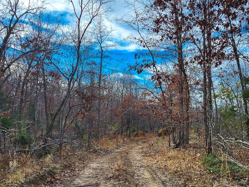 Naturally Beautiful Parcel : Mammoth Spring : Fulton County : Arkansas