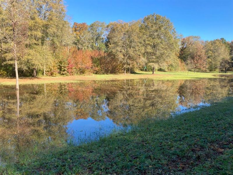 130 Ac, 8 Ac Pond, Creek Frontage : Thomaston : Upson County : Georgia