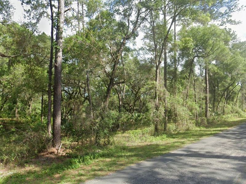 .3 Acre for Sale in Ocklawaha, FL, Land for Sale by Owner in Florida