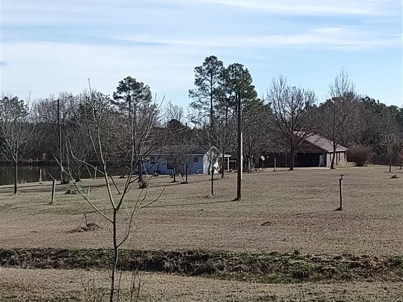 Prime Hunting Land, Wilcox County : Abbeville : Wilcox County : Georgia