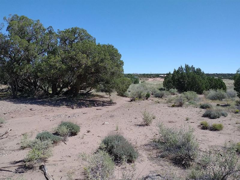 Invest in Your Future, 1.22 Acres : Snowflake : Navajo County : Arizona
