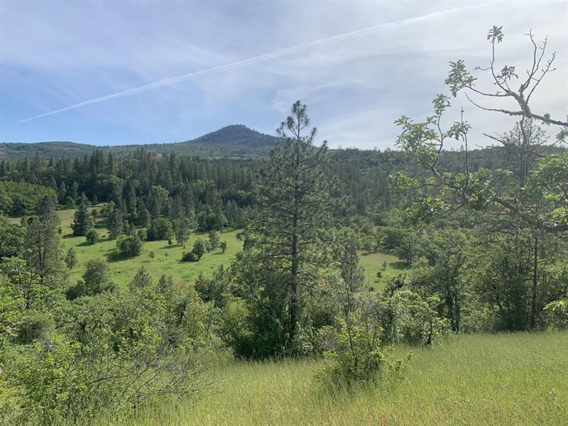 871 Alpine Rd : Eagle Point : Jackson County : Oregon