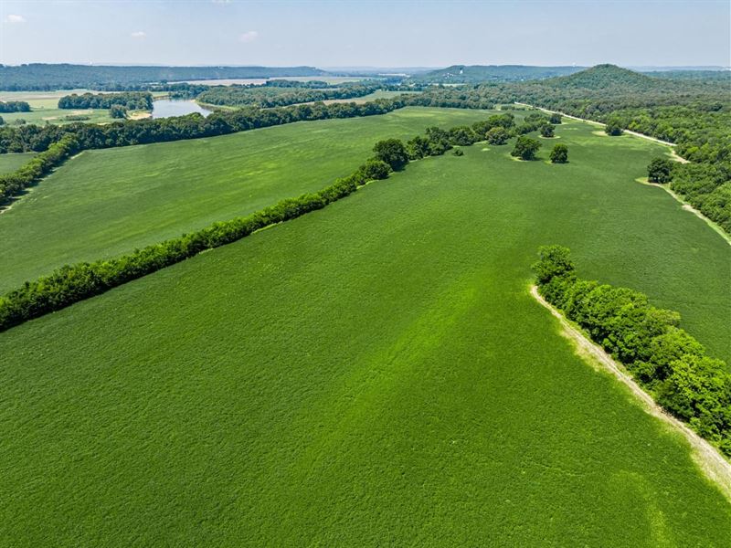 521 Acres, White River Bottom : Batesville : Independence County : Arkansas