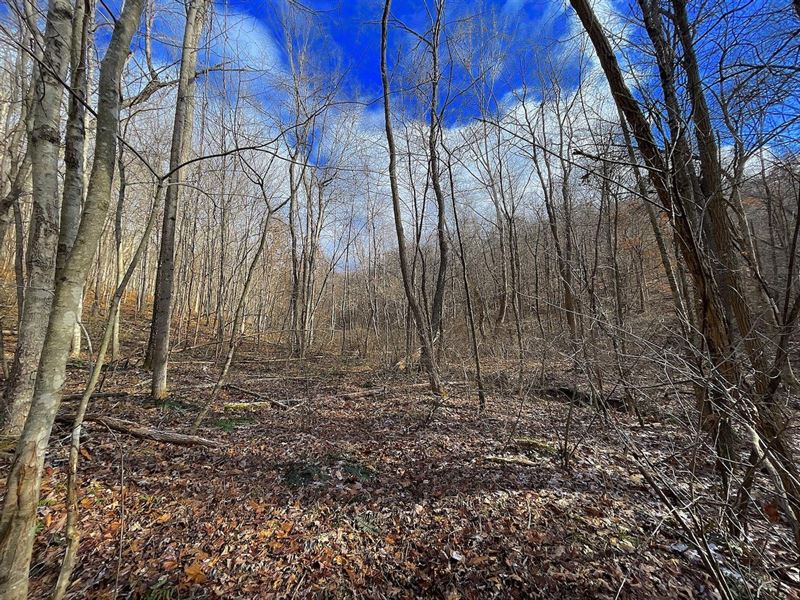 Hunting Run Rd, 35 Acres, Pike Co : Lucasville : Pike County : Ohio