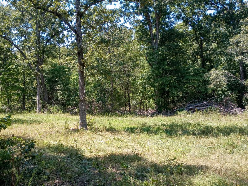 Scattered Hardwoods & Privacy : Mammoth Spring : Fulton County : Arkansas