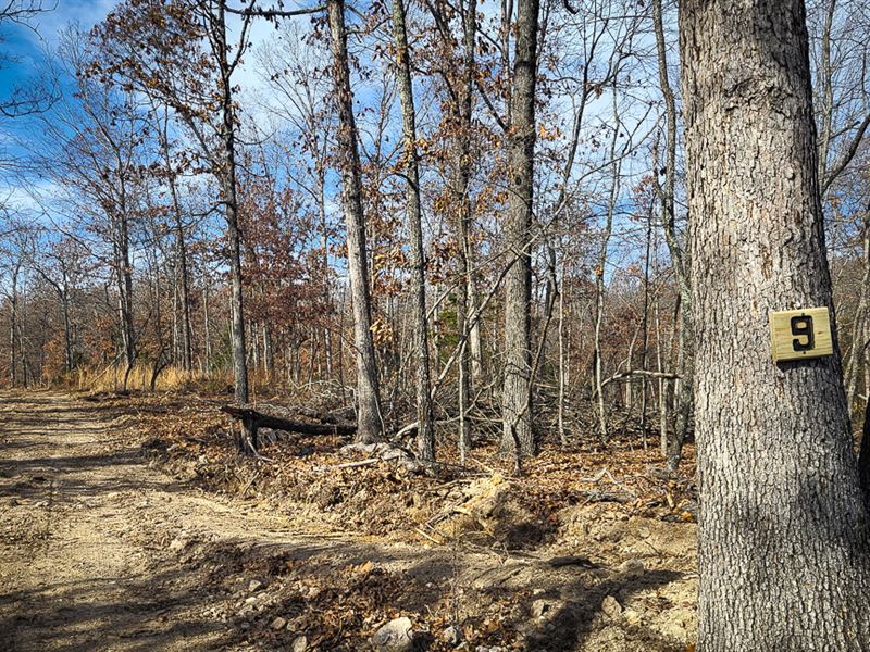 Easily Accessible Property : Mammoth Spring : Fulton County : Arkansas