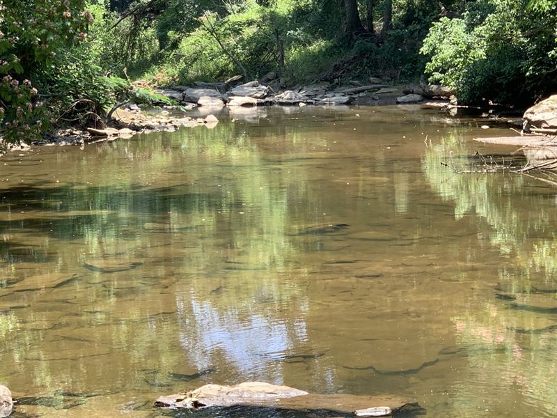 Mulberry Fork River Tract : Arab : Cullman County : Alabama