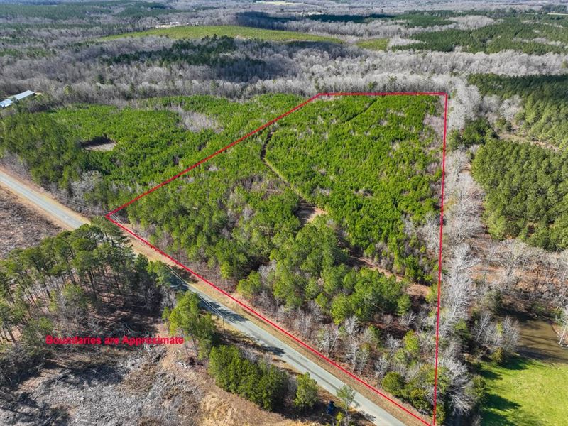 Private, Quiet Acreage : Goldston : Chatham County : North Carolina
