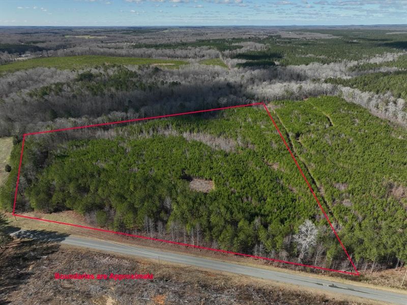 Seclusion Among The Pines : Goldston : Chatham County : North Carolina