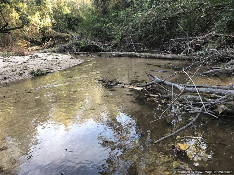Perfect Getaway on 40+/- Ac, Creek : Silver Creek : Lawrence County : Mississippi