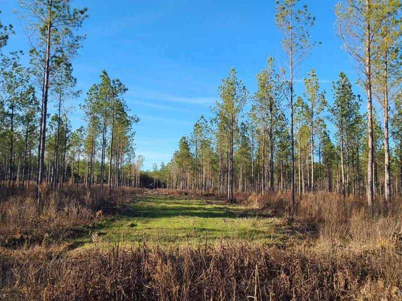 Crooked Creek Farm : Georgiana : Conecuh County : Alabama