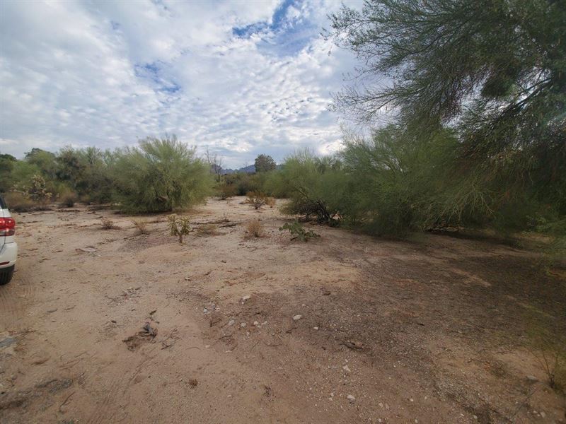 Beautiful NW Tucson Lot : Tucson : Pima County : Arizona