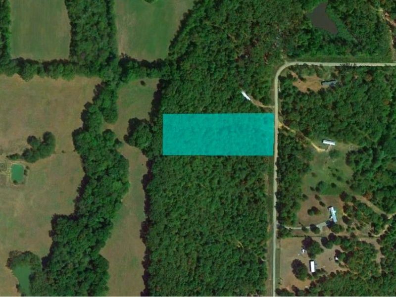 Amazing Lot in a Natural Habitat : Casa : Perry County : Arkansas