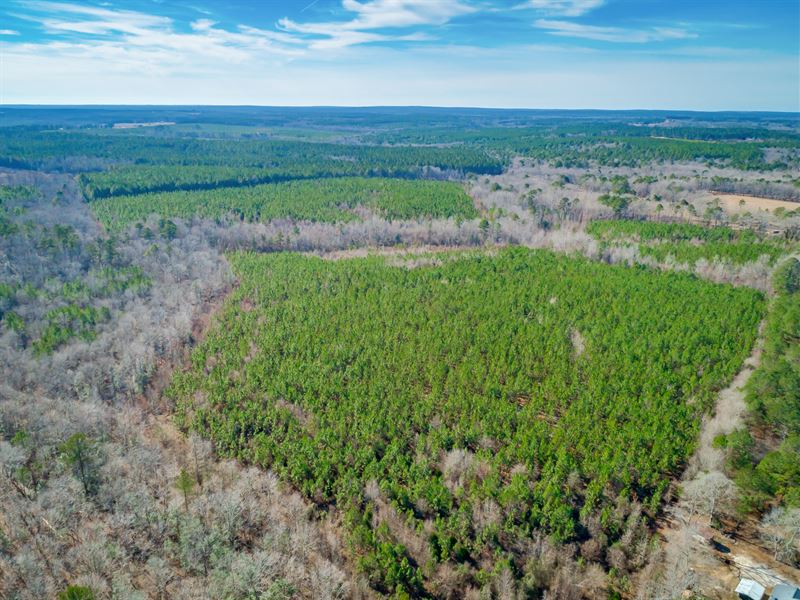 Little Bear Creek Tract : Chesterfield : Chesterfield County : South Carolina
