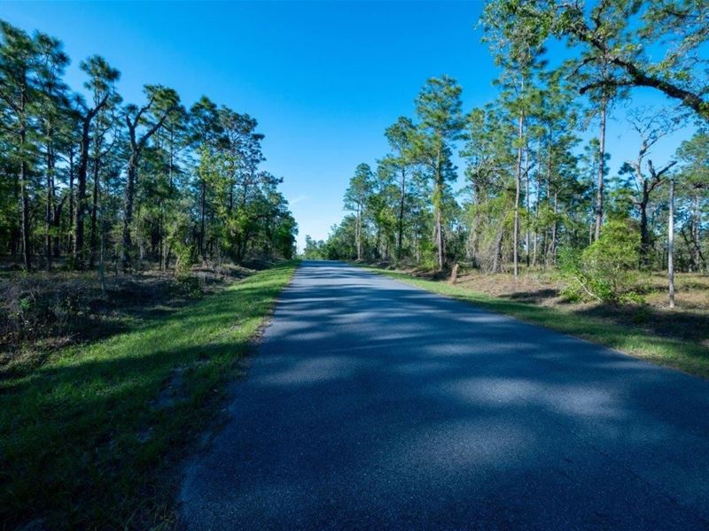 Introducing The Perfect Oasis : Dunnellon : Marion County : Florida