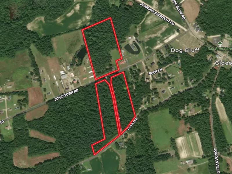 20 Acres of Prime Development Land : Galivants Ferry : Horry County : South Carolina