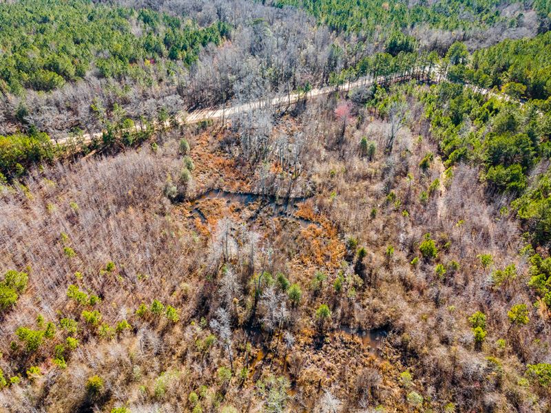 7 Acres in Lee County, AL : Auburn : Lee County : Alabama