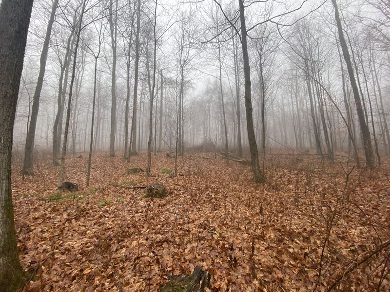 Endless Recreational Options : Otisco : Onondaga County : New York