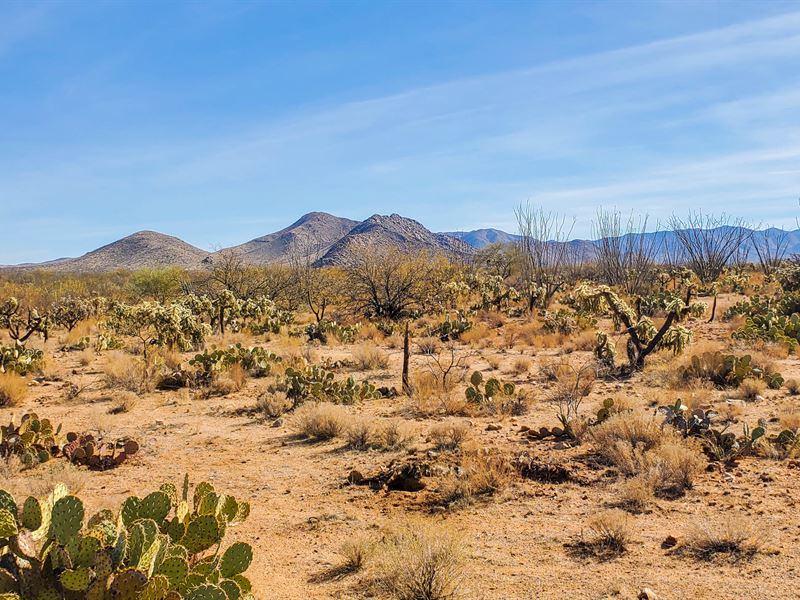 You Only Need 1 Acre of Land : Tucson : Pima County : Arizona